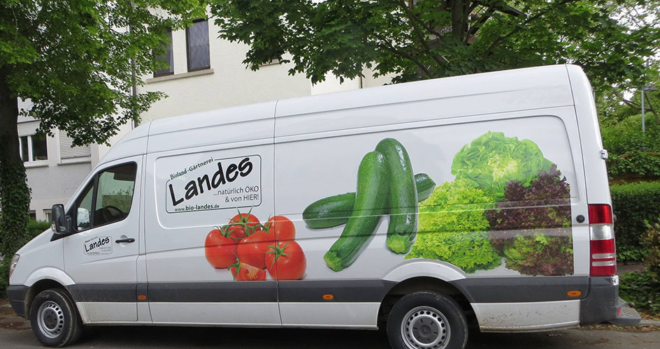 landes_2