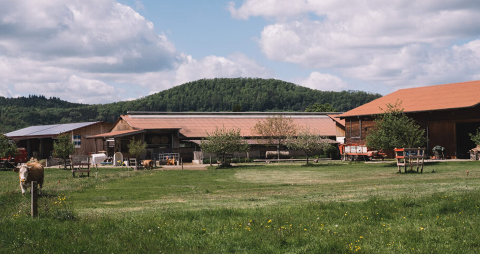 sonnenhof-bad-boll-02